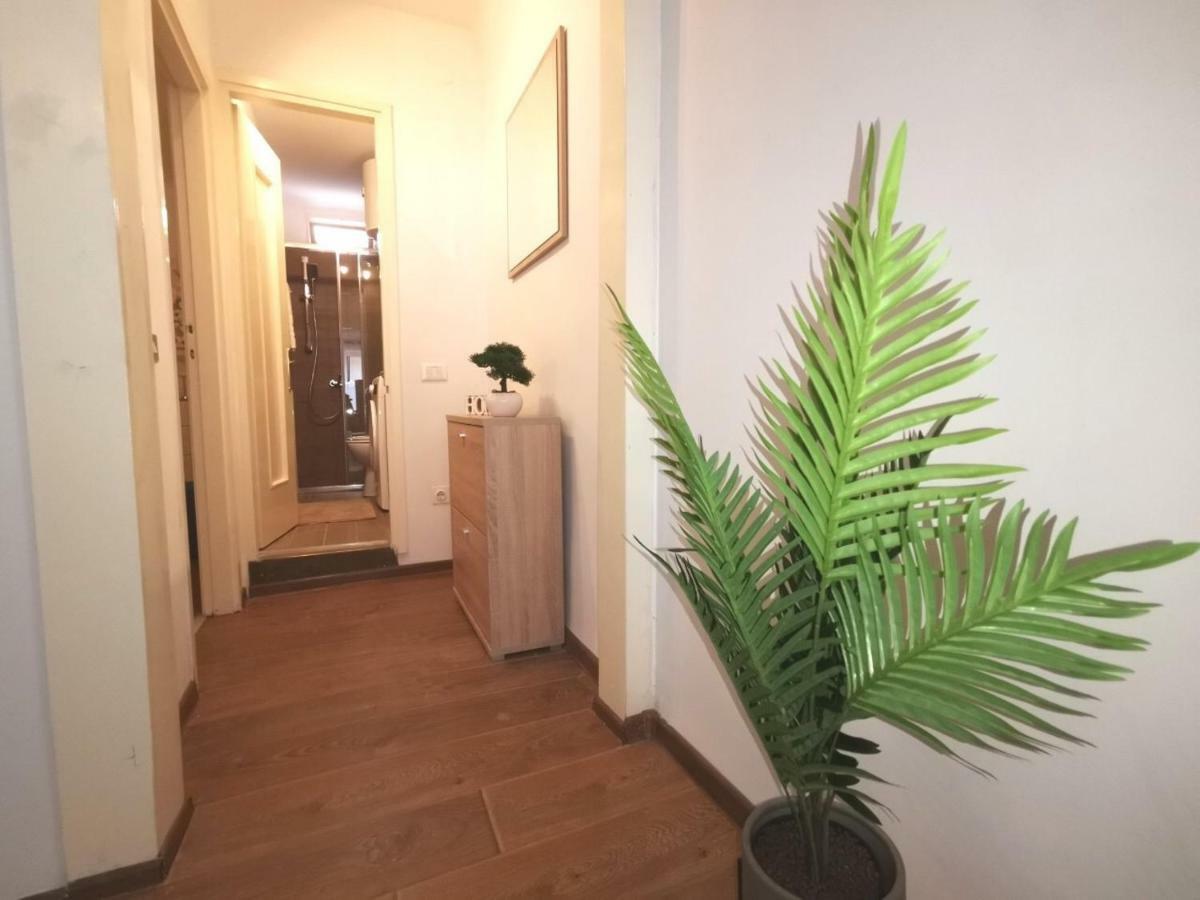 A Charming One-Bedroom Apartment In The Heart Of 'Rovinj' Exteriör bild